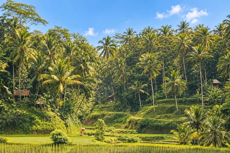 AI-bewerkte sfeerfoto: groene rijstterrassen bij Tegalalang op Bali